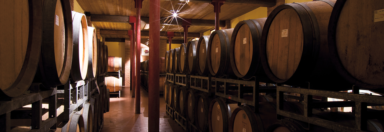 Cantina Torrevilla Wine Shop 1
